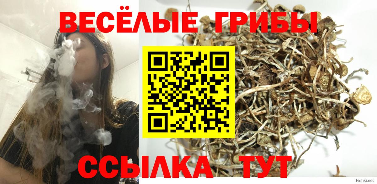 Галлюциногенные грибы GOLDEN TEACHER Советская Гавань
