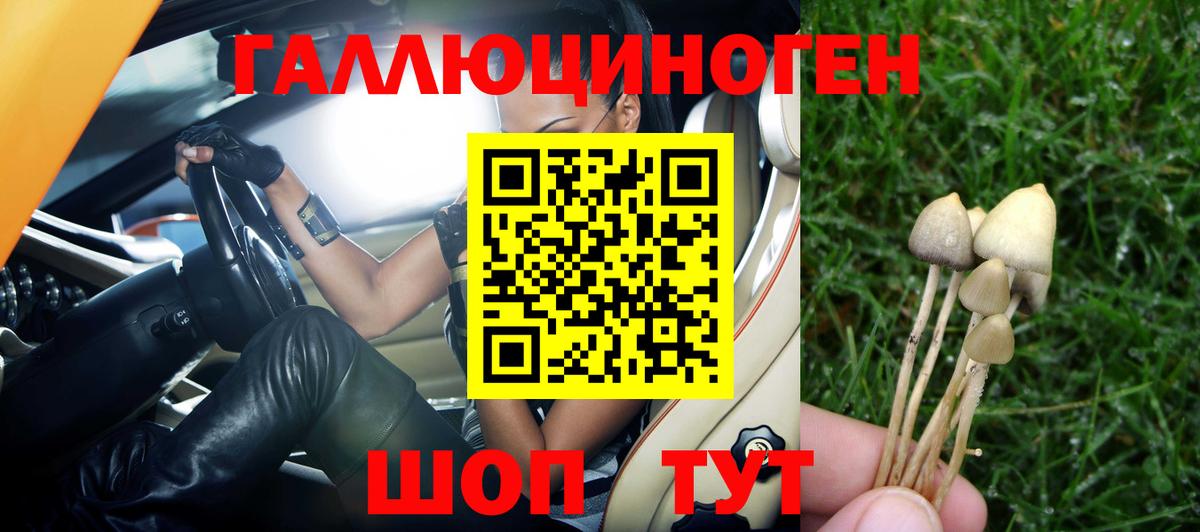 Галлюциногенные грибы прущие грибы  Вход с VPN  Советская Гавань 